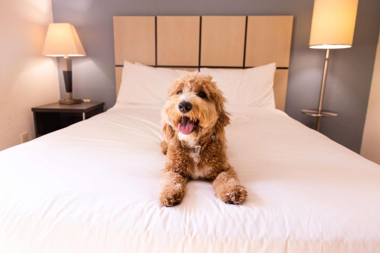ווסט דה מוין Sonesta Simply Suites Des Moines מראה חיצוני תמונה
